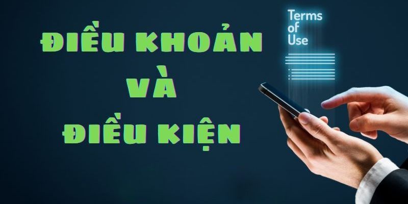 Điều khoản về quyền lợi cho hội viên cá cược