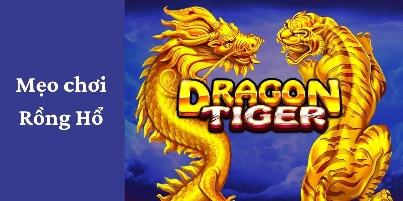 Áp dụng sẽ mang về số tiền thưởng cao nhất