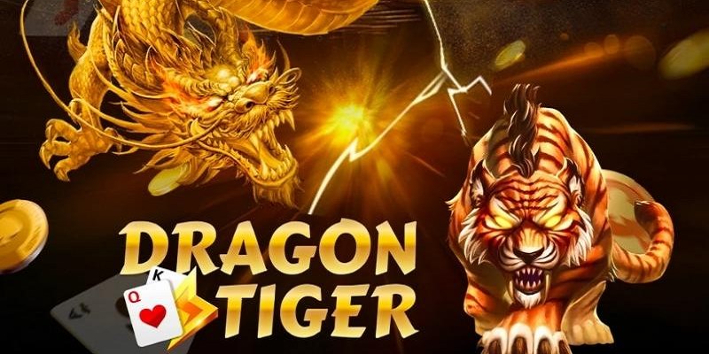 rồng hổ 88bet