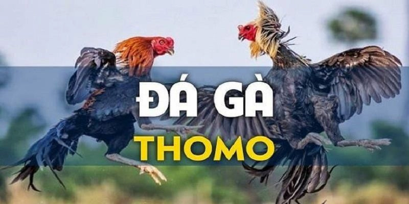 Người chơi cần nắm một số lưu ý để cá cược loại hình này được hiệu quả